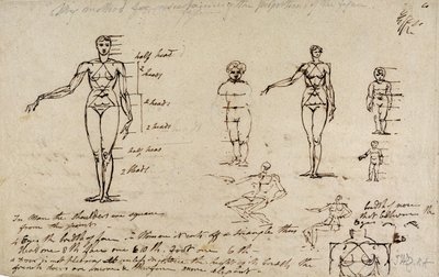 Studies of anatomy with measurements and writing by James Ward